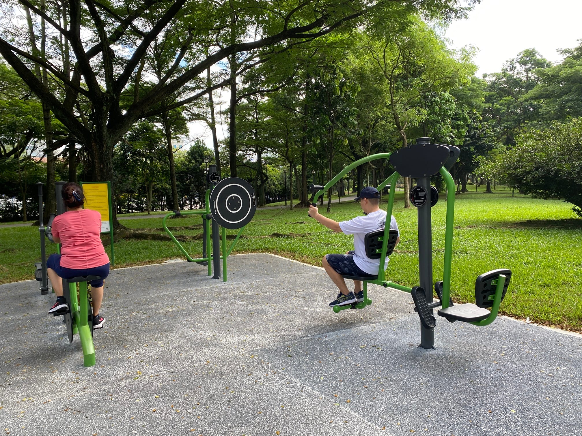 People using outdoor exercise equipment in a park setting surrounded by trees.